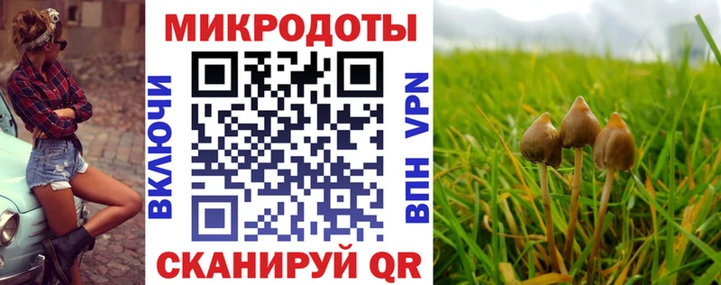 наркошоп  Карачаевск  Псилоцибиновые грибы Cubensis 