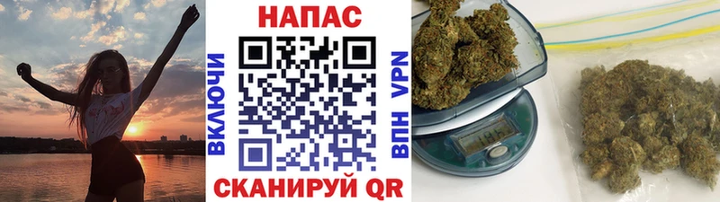 хочу наркоту  Карачаевск  hydra зеркало  Канабис сатива 